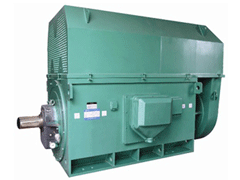 通化Y系列6KV高压电机